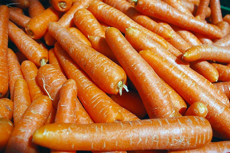 CARROT SEED OIL BENEFITS FOR YOUR SKIN AND WHY YOU WANT TO USE IT