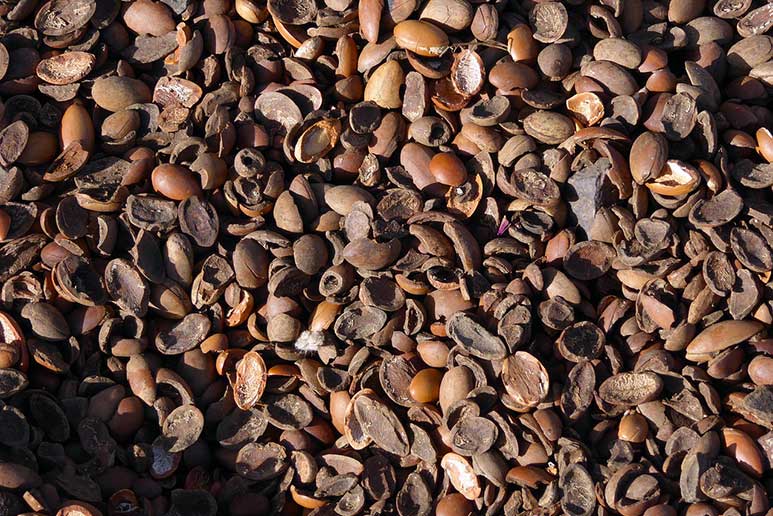 HAVE YOU EVER NOTICED THE SKIN CARE BENEFITS OF ARGAN OIL?