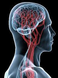 SKIN DEEP: A POSSIBLE MEDICAL BREAKTHROUGH?